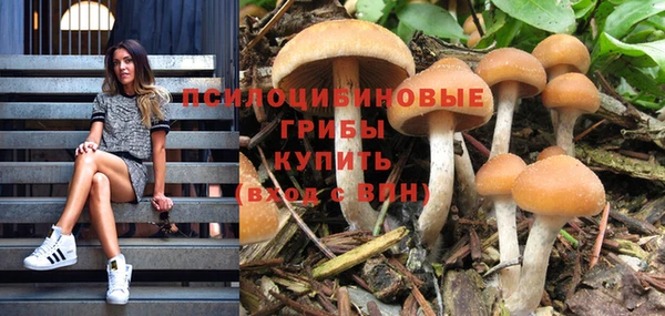 трава Лихославль