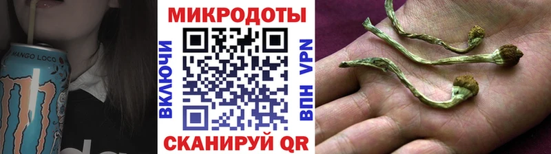 купить наркотик  Абинск  Псилоцибиновые грибы GOLDEN TEACHER 